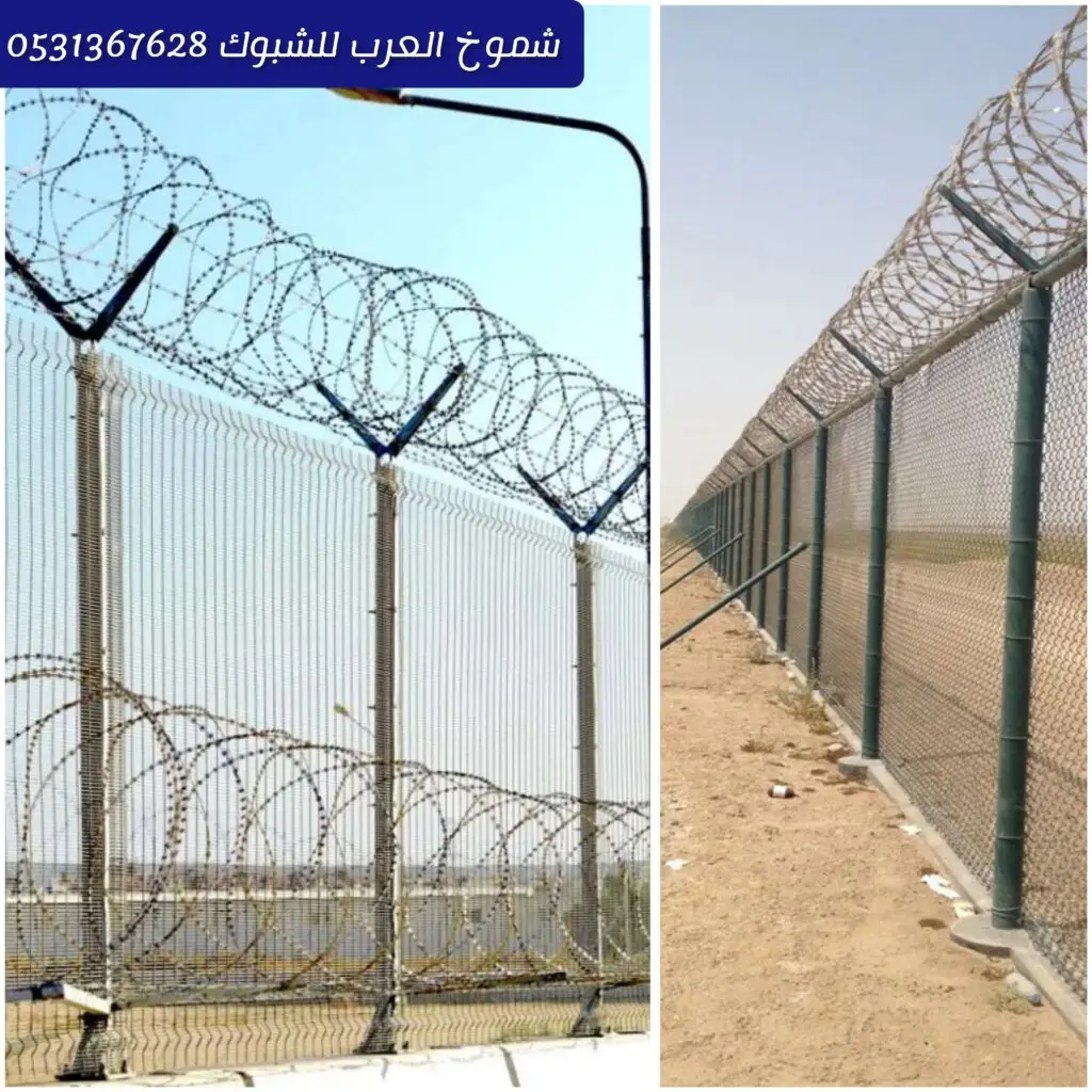 alt text 1: زراعة نخيل في موقع حكومي بمحافظة القطيف بتنسيق احترافي. alt text 2: تنفيذ سياجات حكومية لتنظيم وحماية المواقع العامة في القطيف